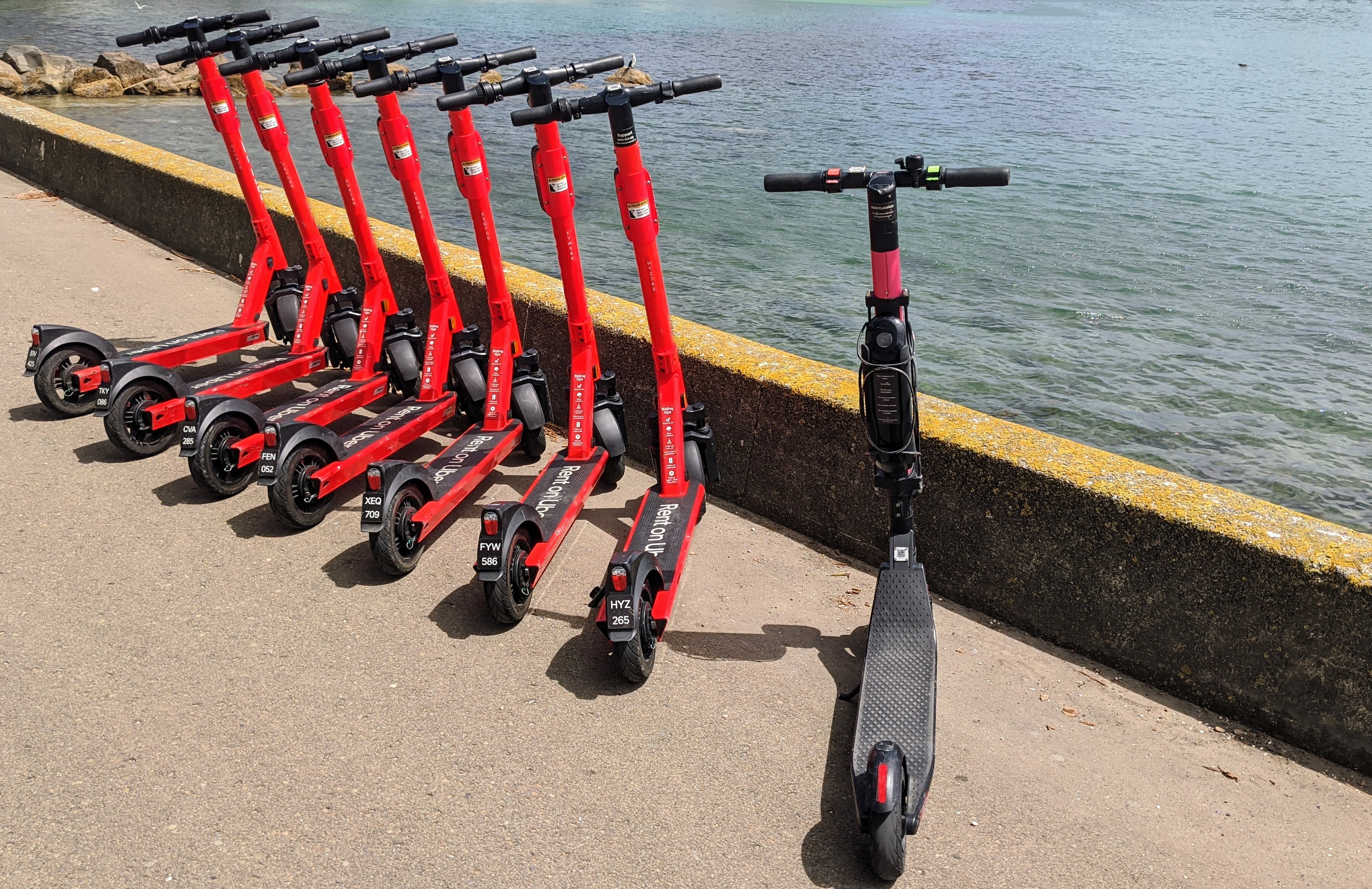 Scooters lined up on Oriental Parade, Wellington