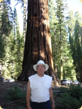 Yosemite National Park, CA 268