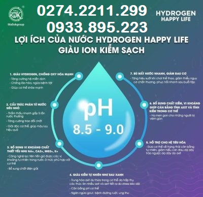 ion hydrogen happy life