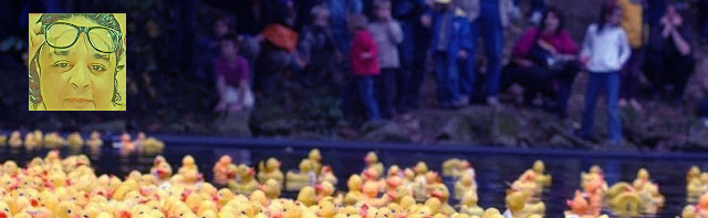 The return of the festival "plastic duck race" to the German city of Erfurt: children's joy and development support