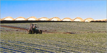 Baja Farming