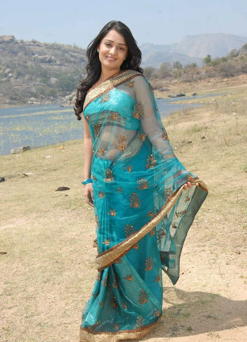 nikitha in saree photo gallery