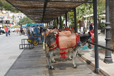 photo taxi donkey Mijas
