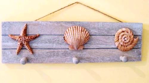 sea shells to hang on the wall