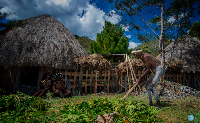 Rumah adat di Wamena