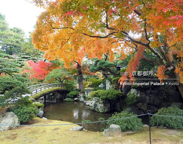 [京都] 秋の京都御所