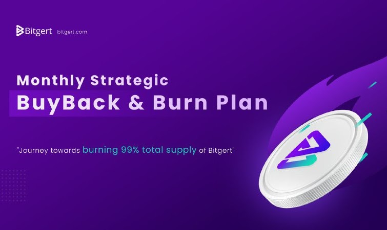 Bitgert CVSO Burn Plan
