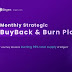 Bitgert CVSO Plan - Monthly Strategic Buyback & Manual Burn Plan