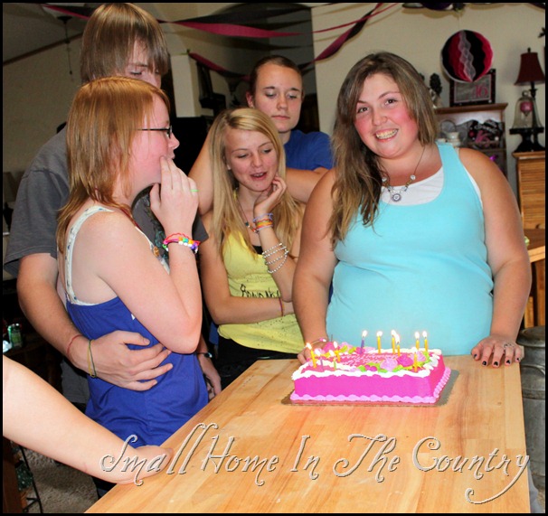 Megans 16th Birthday Party 092