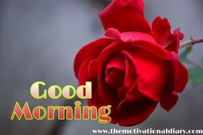 good-morning-status-download-the-motivational-diary-by-ram-maurya