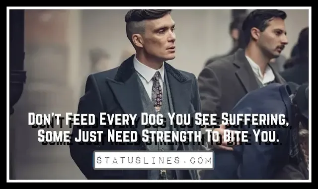 Don't Feed Every Dog You See Suffering, Some Just Need Strength To Bite You.