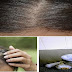 Jika Dibiarkan Rambut Berubanmu Akan Rontok,,. Yuk Atasi Rambut Beruban Anda Dengan Herbal Ini,, Cukup Membutuhkan Waktu 5menit Lohh Guys..!! "Di Share Ya"