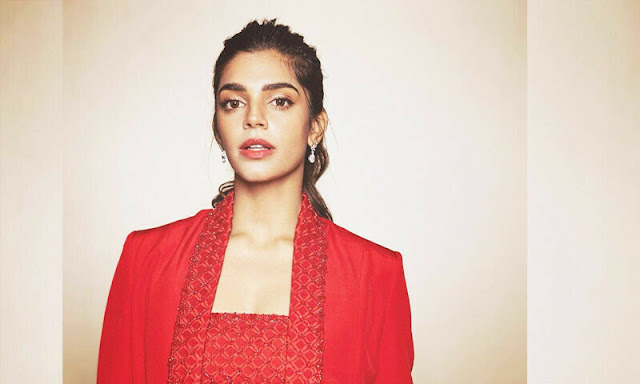 Entire Pakistan grew up watching Bollywood, Indians don't know anything about Pakistan, Sanam Saeed