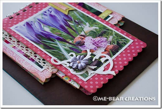 Bear_02-2
