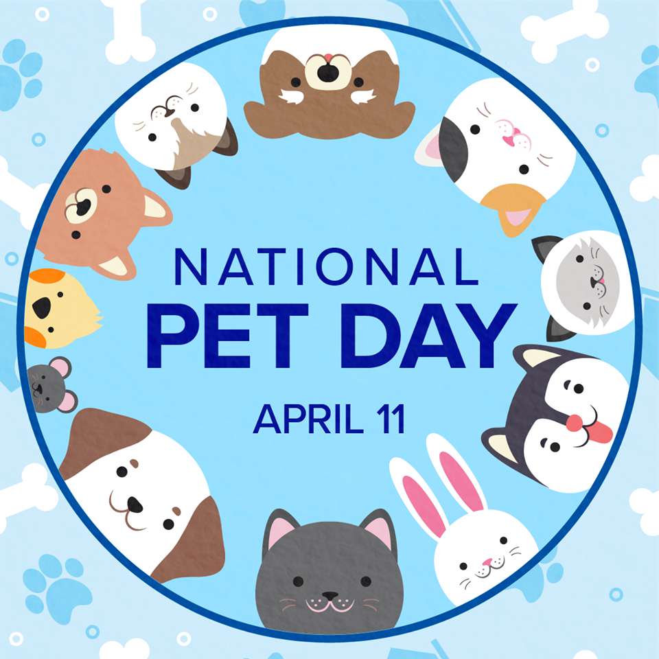 National Pet Day Wishes for Instagram