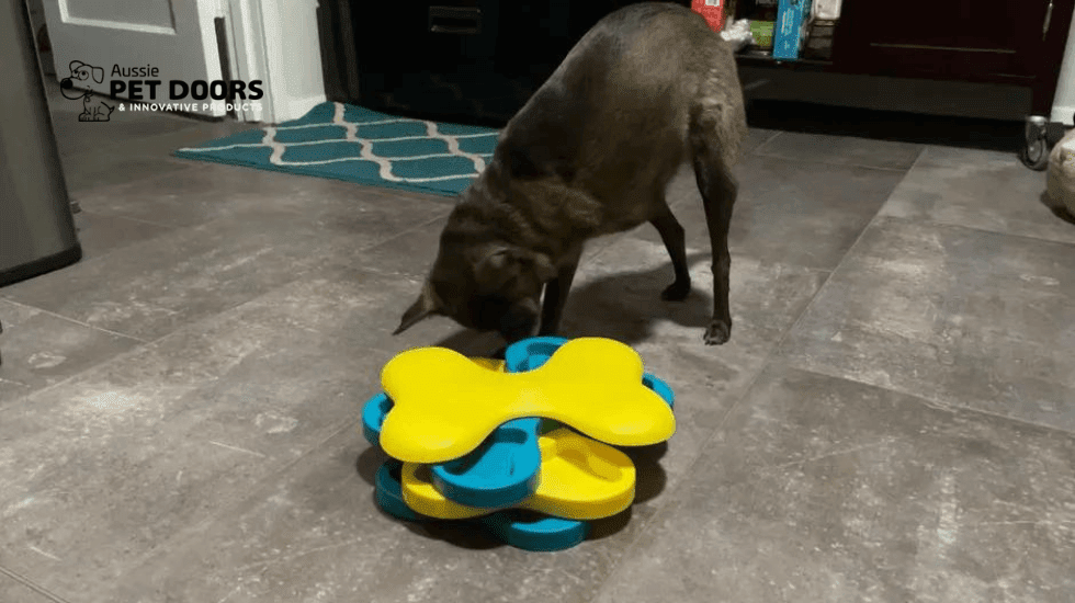 The Benefits of Interactive Dog Toys for Busy Pet Owners