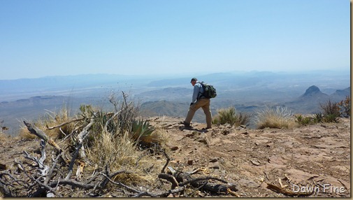 South rim hike,Big bend_029