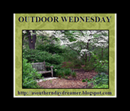 OutdoorWednesdaybutton54333333333332