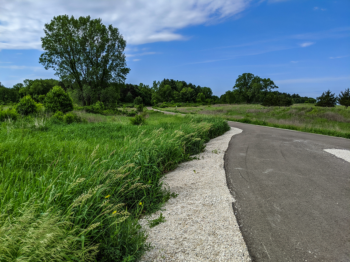 Trail curving through grasslands and forest