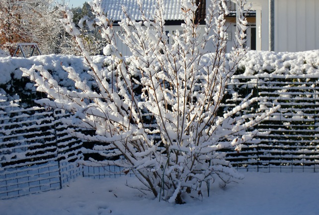 Årets første snø, 30.10.12