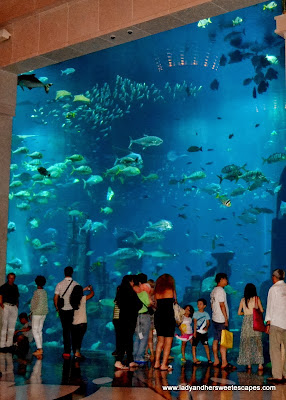 Ambassador Lagoon at Atlantis The Palm