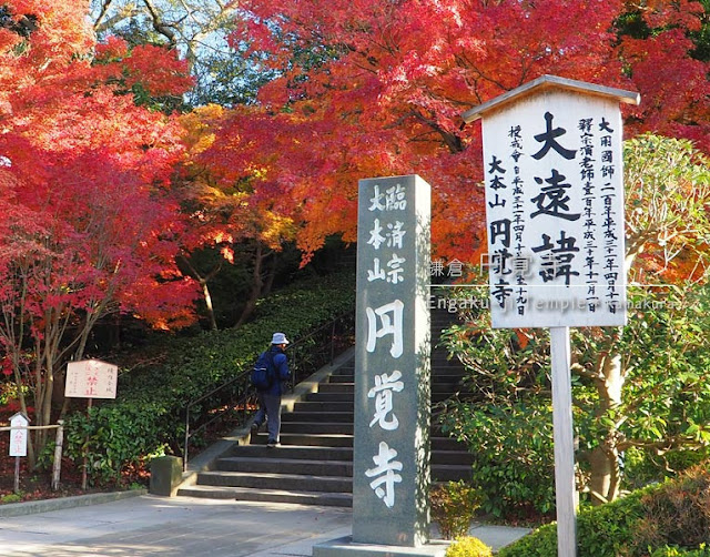 鎌倉 円覚寺の紅葉は見どころたくさん 満足感アリ ひとり旅が好きな女のブログ