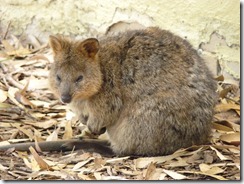 Fremantle Ian 078