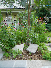 The Pocket front garden clean up before by Paul Jung Gardening Services Toronto