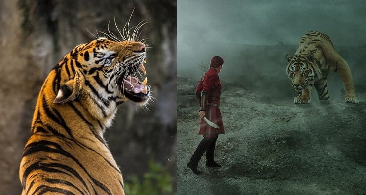 The Tiger People - Humans Who Could Turn Themselves Into A Tiger | Myths And Legends From Sumatra