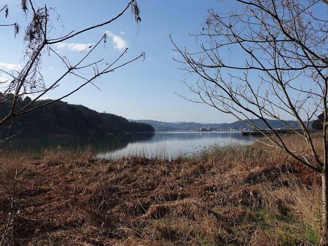 湯梨浜町宮内（県道234号東郷羽合線）からの眺望