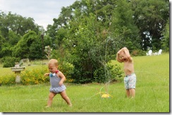IMG_3149 copy