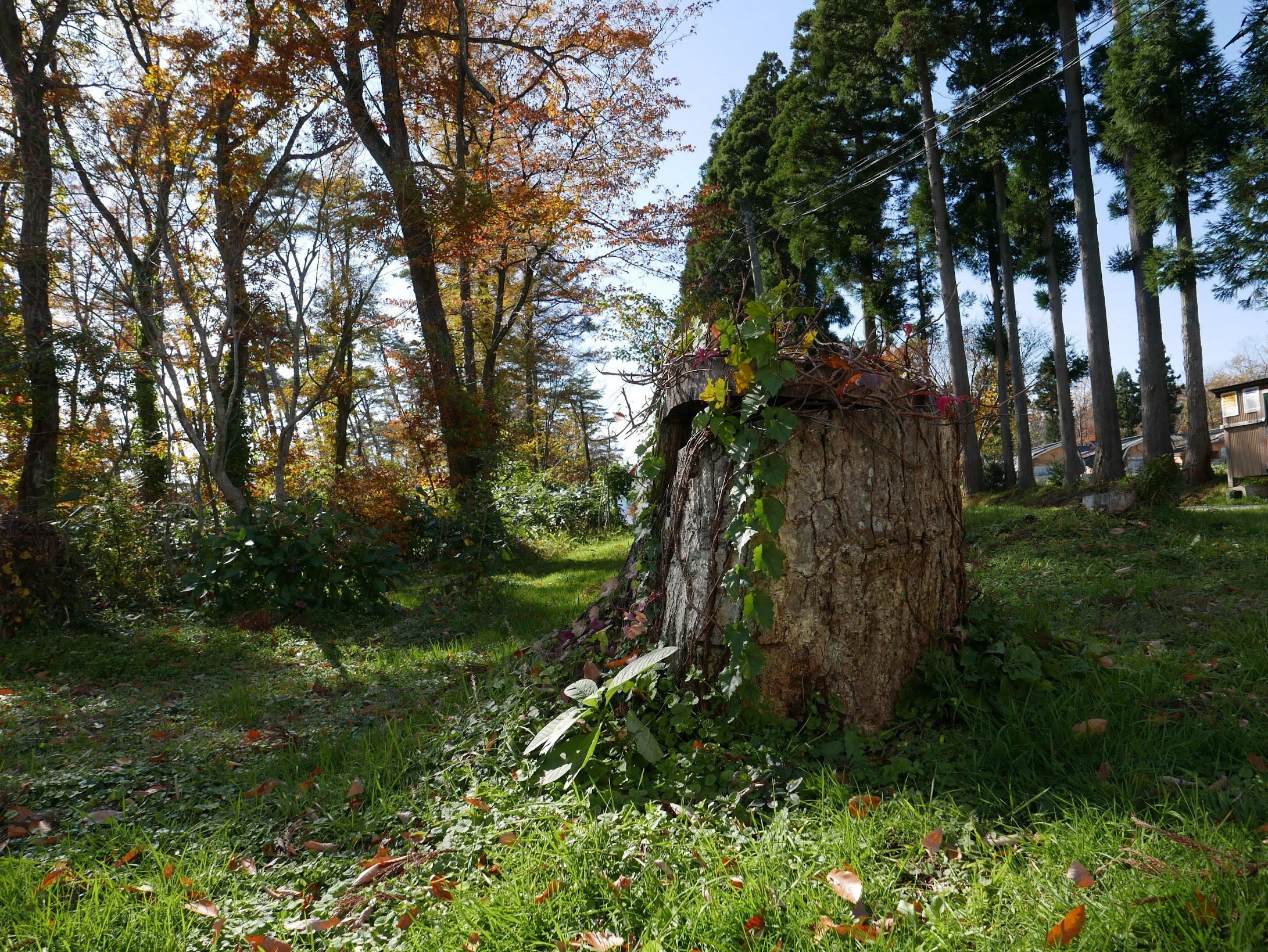 丹尼私遊記 日本東北與關東之秋日楓中轉 第七章 仙台市 鳴子峽與山寺 那夜仙台月正圓