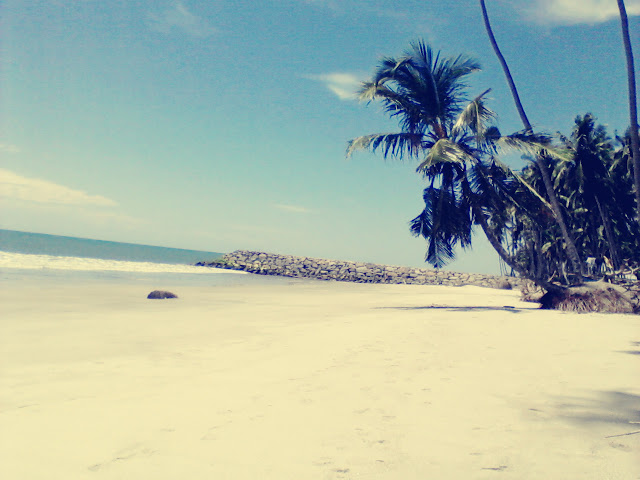 pantai sasak, pantai sasak pasaman barat, pantai sumbar, pantai.