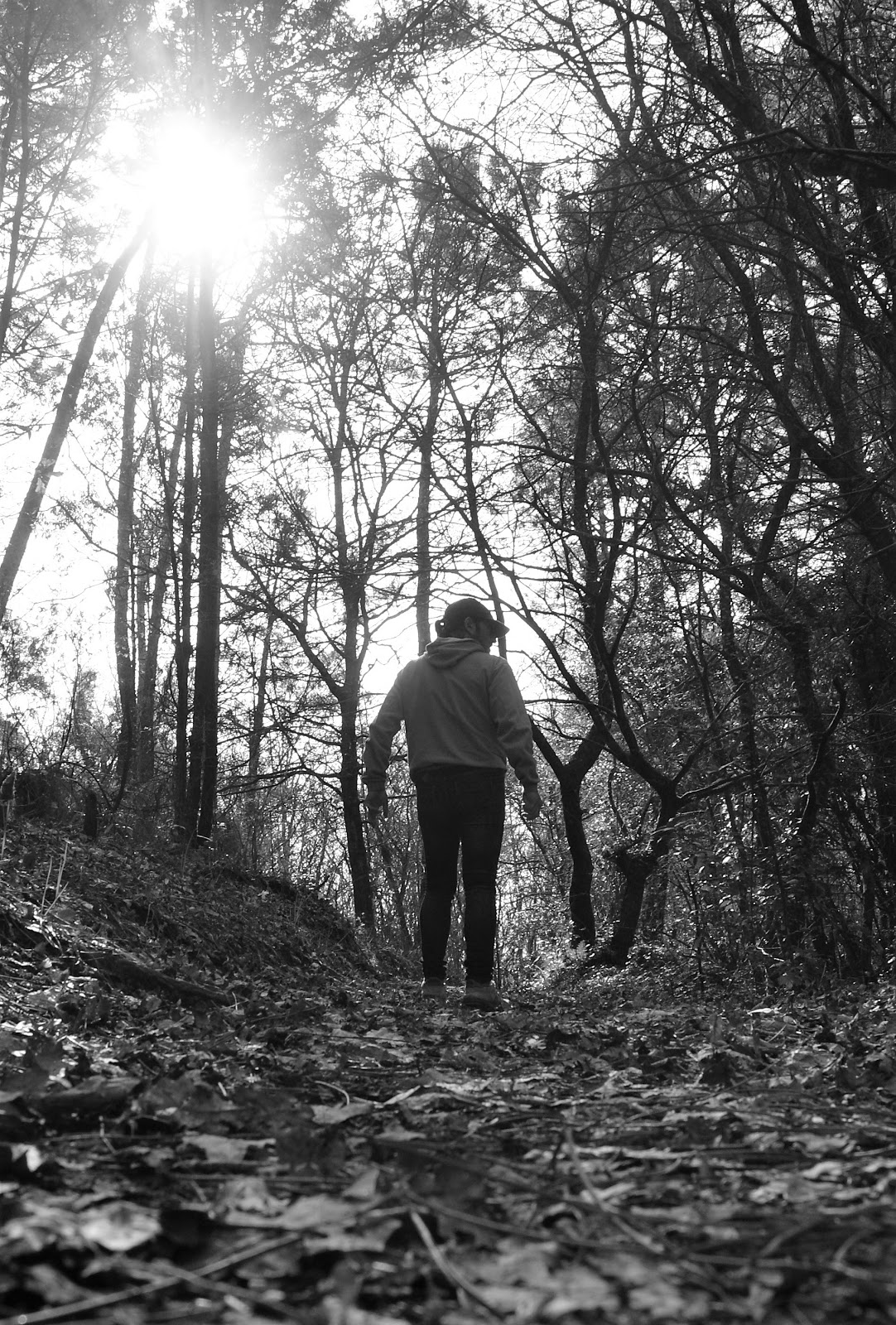 Seguimos caminando