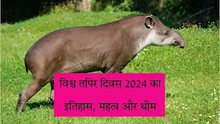 World Tapir Day 2024