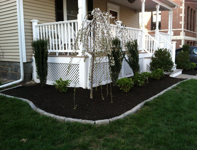 bush planting services wakefield ma