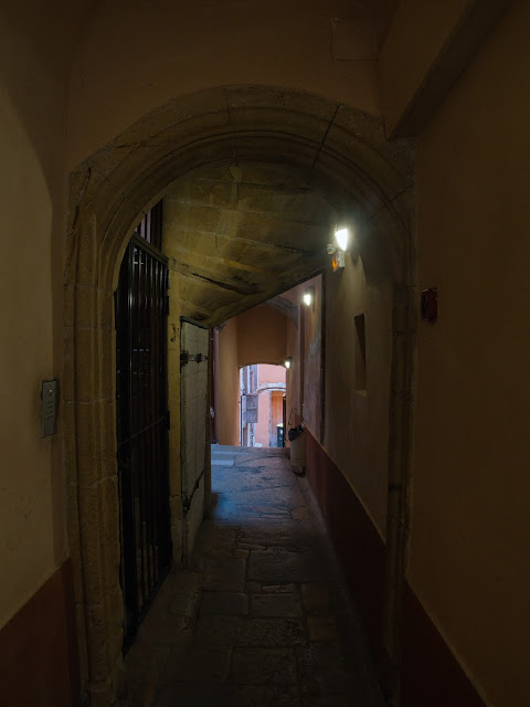 jiemve, le temps d'une pose, Lyon, traboule, traboules, cours d'immeuble, façades, escaliers