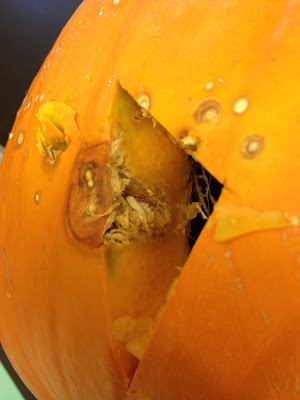 A pumpkin with a section removed to show the dark, watersoaked tissue  under the skin