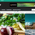 Mag day Responsive Blogger Template