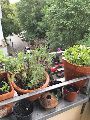 Balkonbrüstung mit Pflanzen und Blick in Bäume