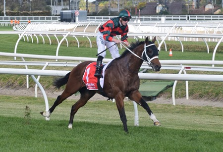 caulfield guineas_finish 8