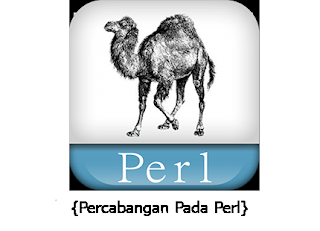 If Statement In Perl