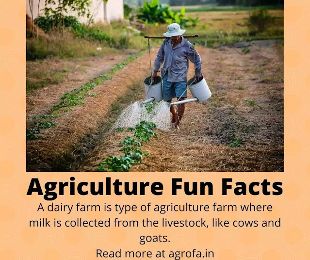 Agriculture Facts