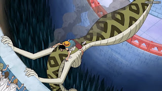 ワンピースアニメ 女ヶ島編 414話 ボア・サンダーソニア ヘビヘビの実 アナコンダ | ONE PIECE Episode 414