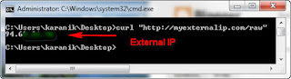 find external ip from command line