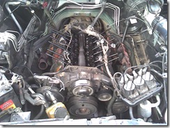 motor omega 3.8