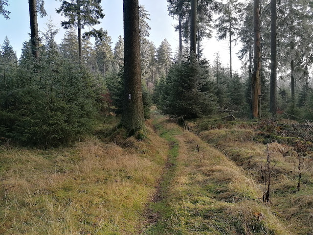 Sauerland wandern Wetter blog Schmallenberg Hunau X10 Wilhelm-Münker-Weg