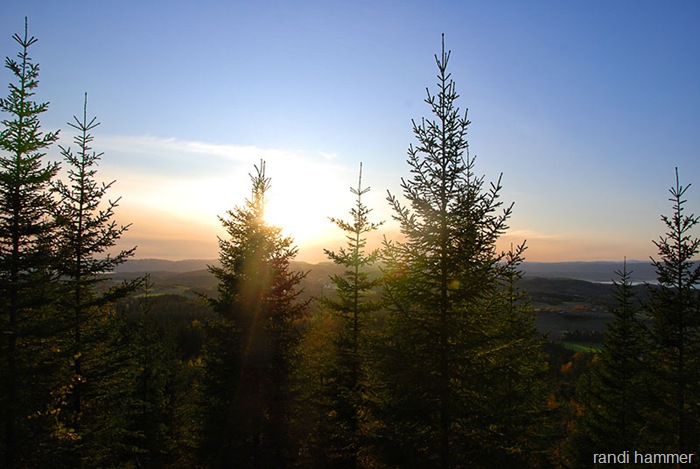 DSC_0027 DSC_0027