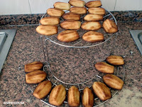 todas las madeleines