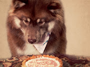 Fotos de perros celebrando su cumpleaños